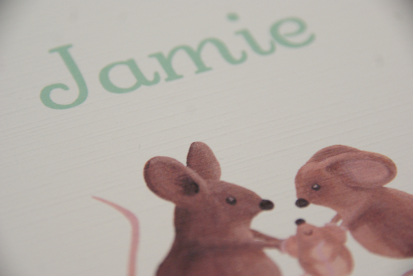 geboortekaartje jamie lichtgroen 